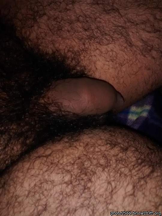 My flaccid penis