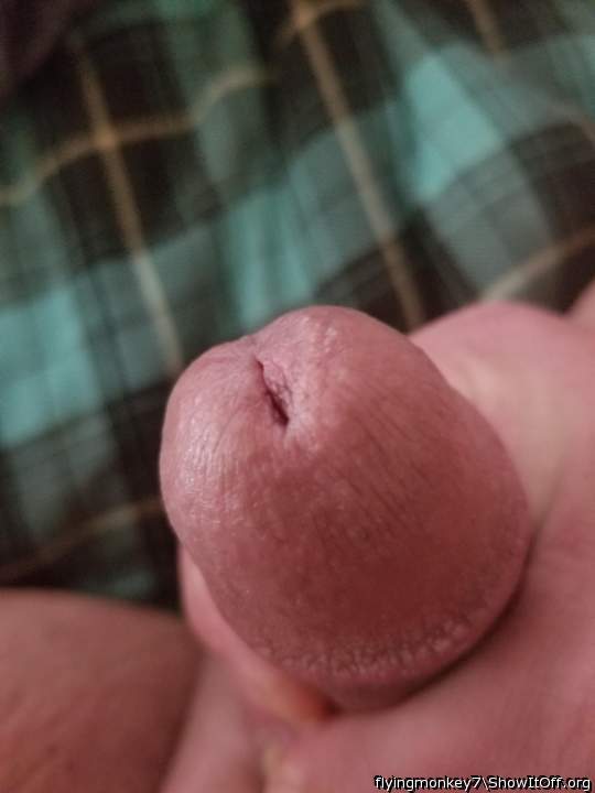 hi.  Great head!
