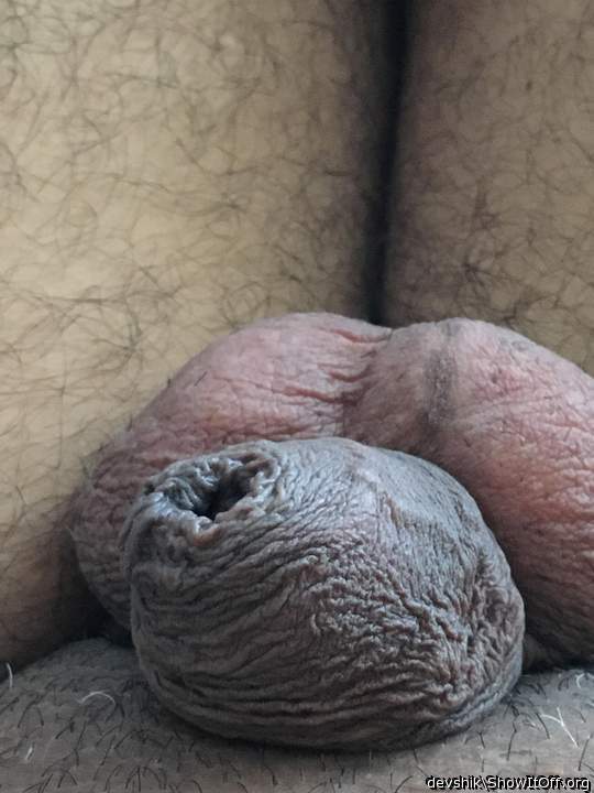 Photo of a horn from Cumlover