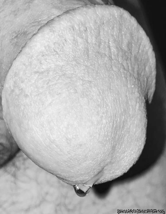 Photo of a third leg from jimes104