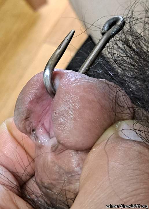 Photo of a cock from caliber