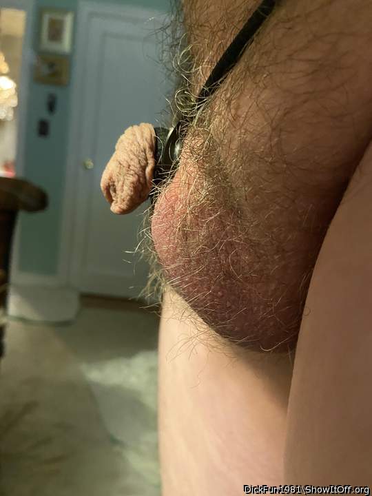 Photo of a drain pipe from DickFun1981