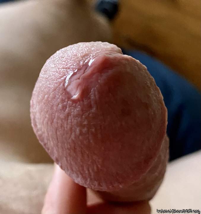 I took the photo of Brad�s cock then licked that sucker clea