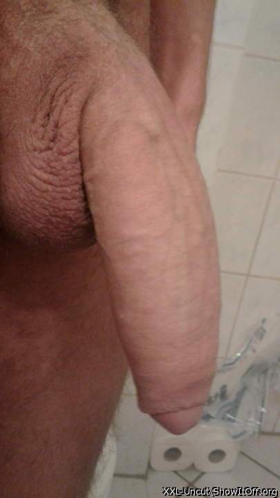 Beautiful uncut cock