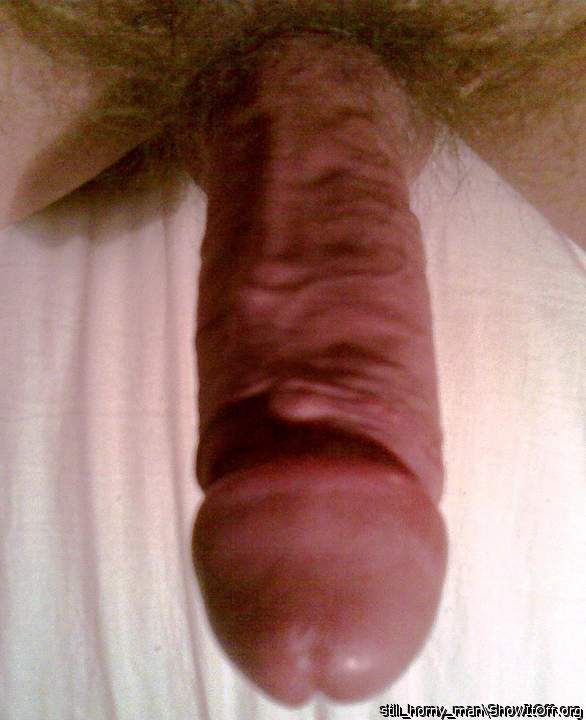 Photo of a snake from still_horny_man