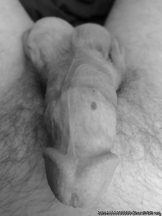 Photo of a snake from John1111199999