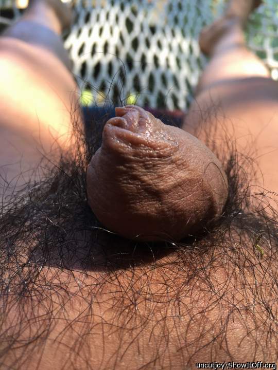 A Sunny Acroposthion