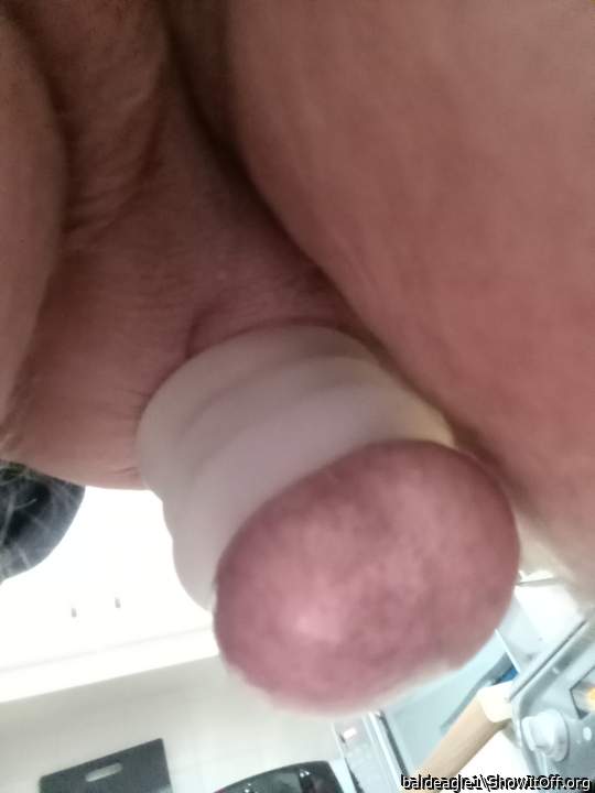 Adult image from baldeagle1