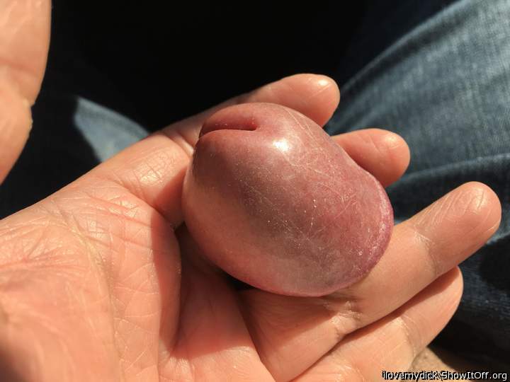 Photo of a penis from ilovemydick