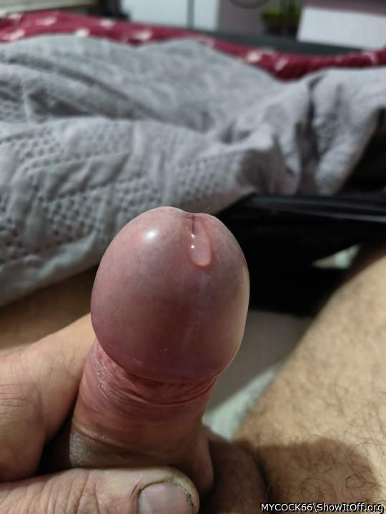 looks so tasty 