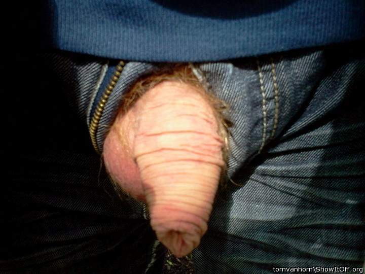 Photo of a dick from tomvanhorn