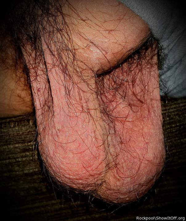 Testicles Photo from Rockpool
