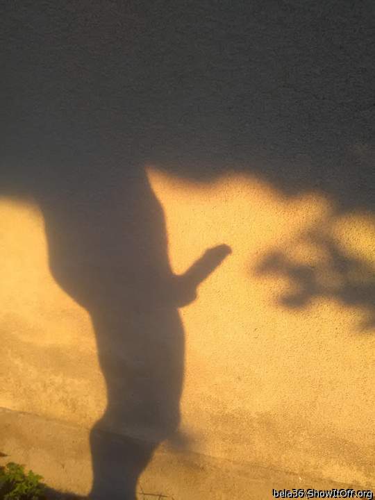 Very artistic pics , beautiful hardon 