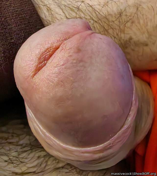 Photo of a weasel from massivecock