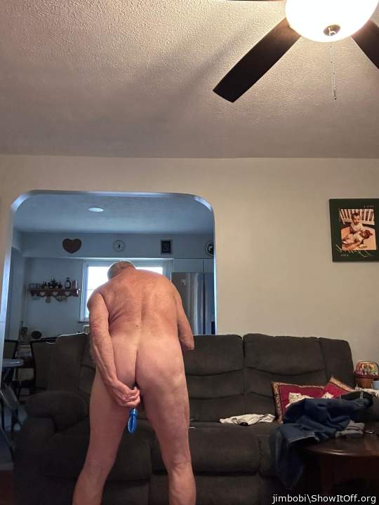 Photo of a rooster from jimbobi