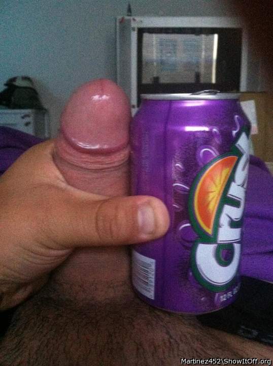 Photo of a lizard from Martinez452