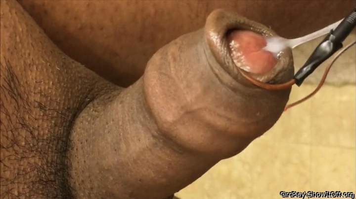 Photo of a wiener from CircPlay