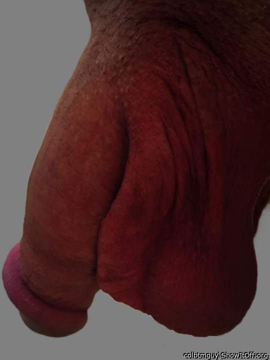 Photo of a weasel from colbtmguy