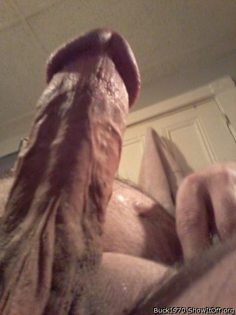 Great shot of a nice juicy cock 