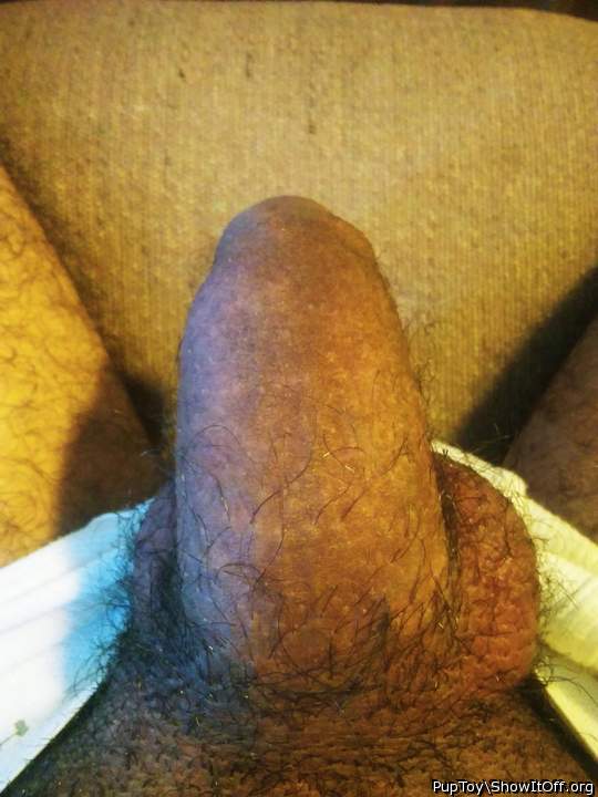 Photo of a private part from PupToy