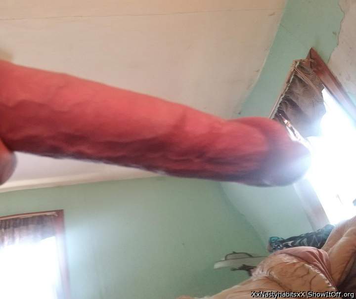 Photo of a schlong from XxNastyhabitsxX