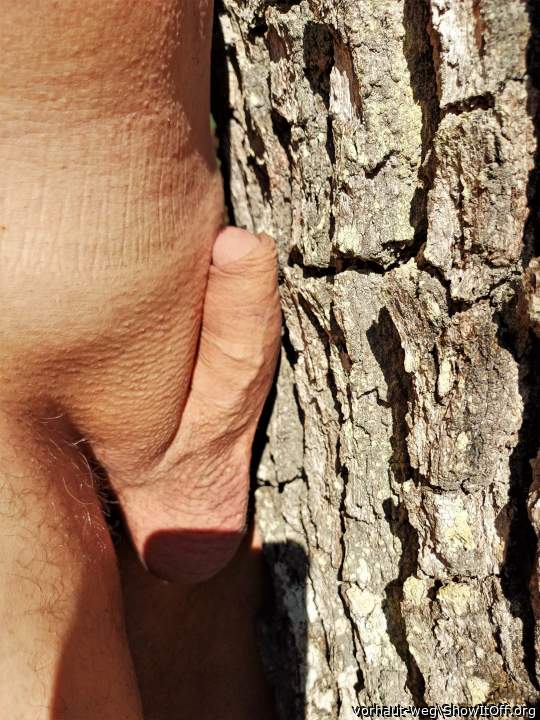 Schwanz am Baum reiben