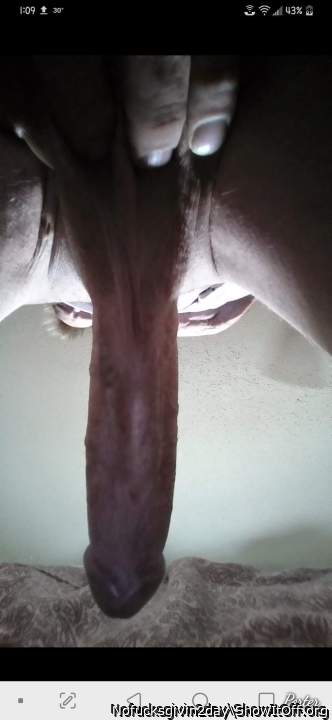 Photo of a bat from 1hungcock4u