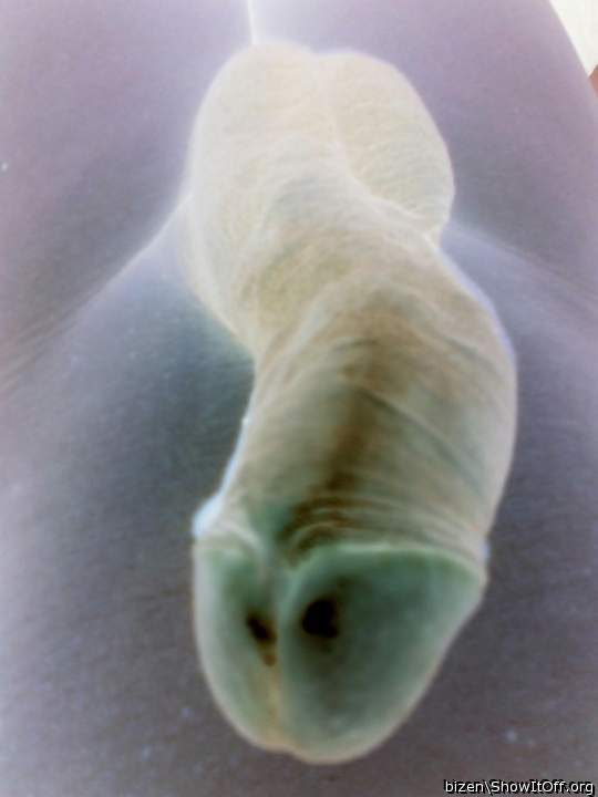 Photo of a cavalier from bizen