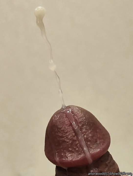 Photo of a bald-headed mouse from anorwoo001
