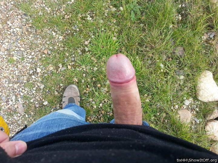 Photo of a penile from tixHH