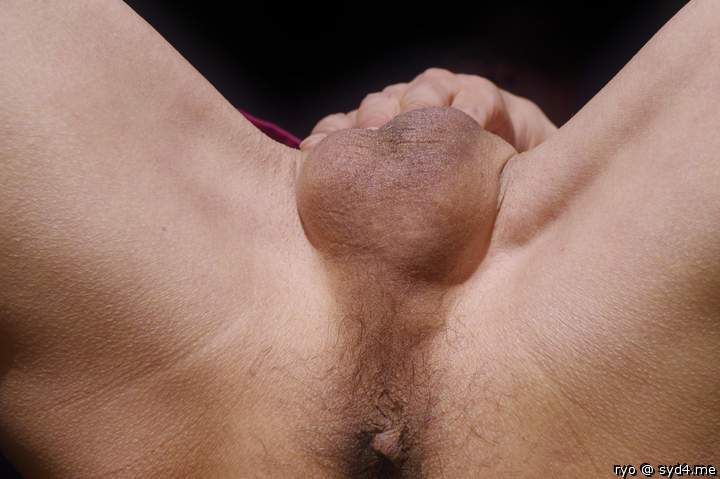 Testicles Photo from ryo