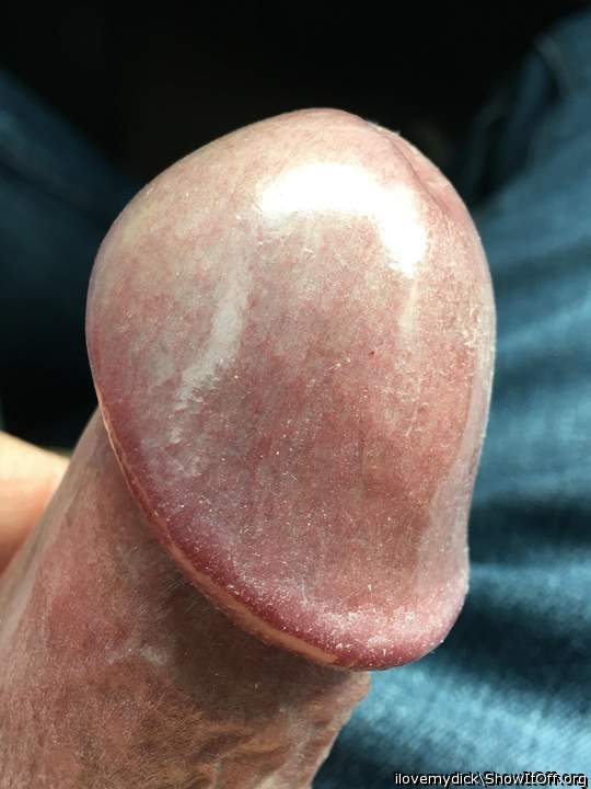 Photo of a weasel from ilovemydick