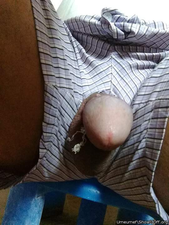 Photo of a third leg from umeumef