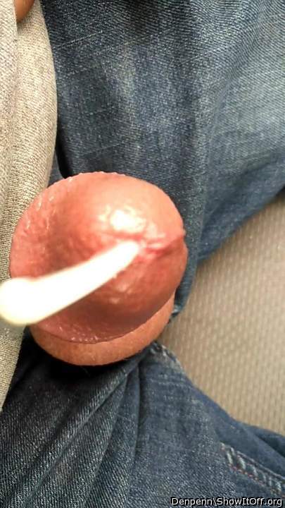 Photo of a dick from Denpenn