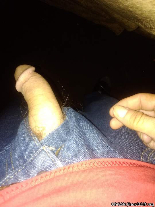 Photo of a wiener from Alf4269