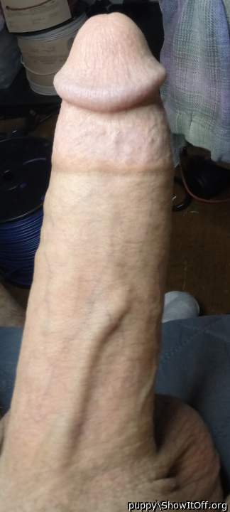 Nice piece of meat wife wants a ride