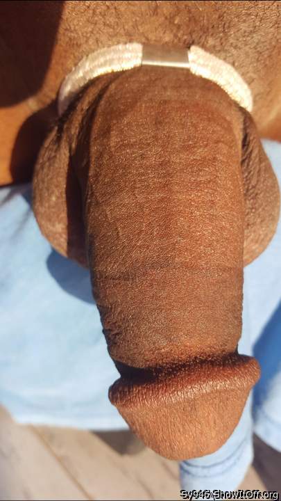 Photo of a sausage from Sy946