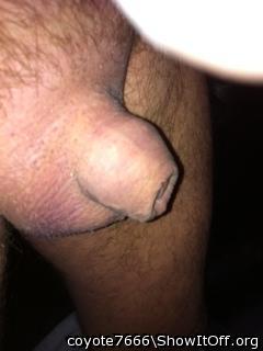 Photo of a bald-headed mouse from coyote7666