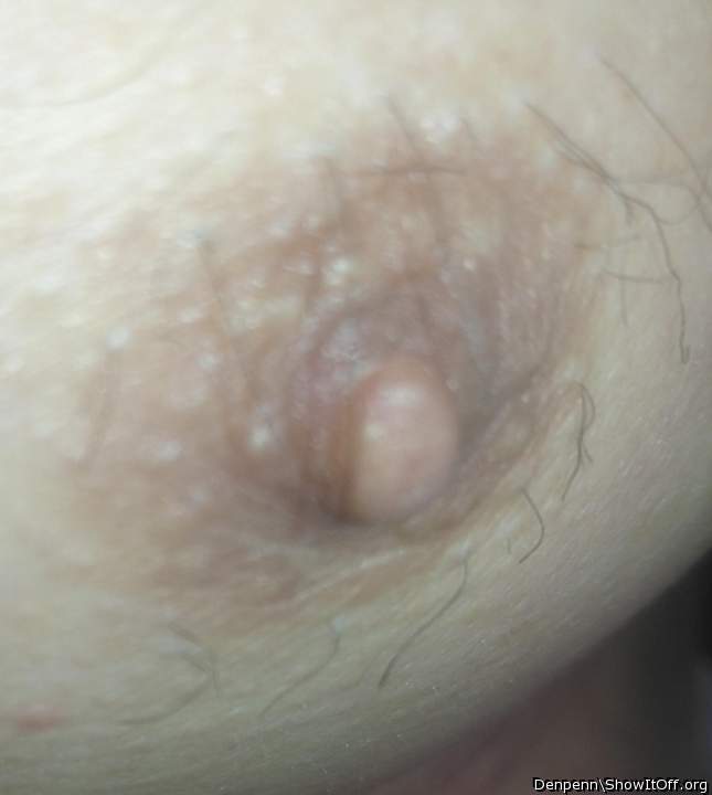 Adult image from Denpenn