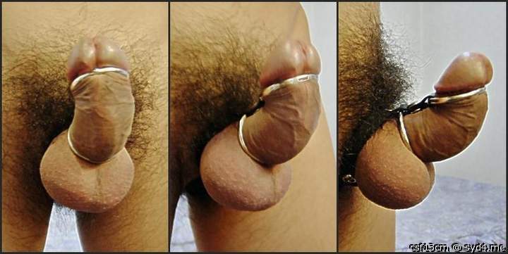 Photo of a cock from csf13cm