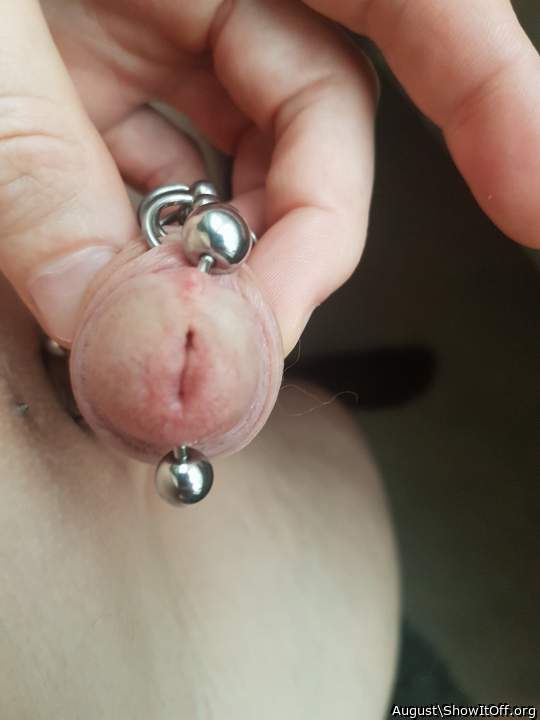 Photo of a sausage from August