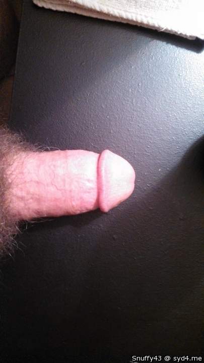 Photo of a bat from Snuffy43
