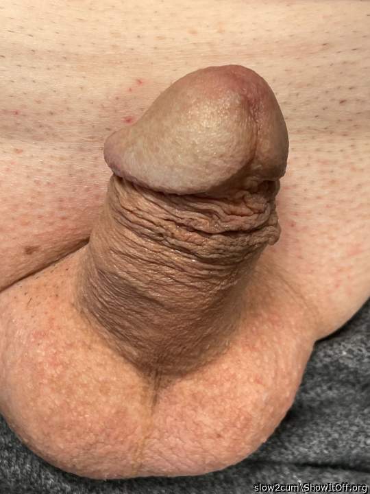 Photo of a lizard from slow2cum