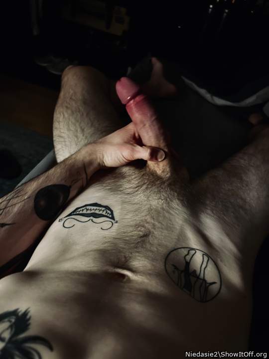 Photo of a stiffie from Niedasie2