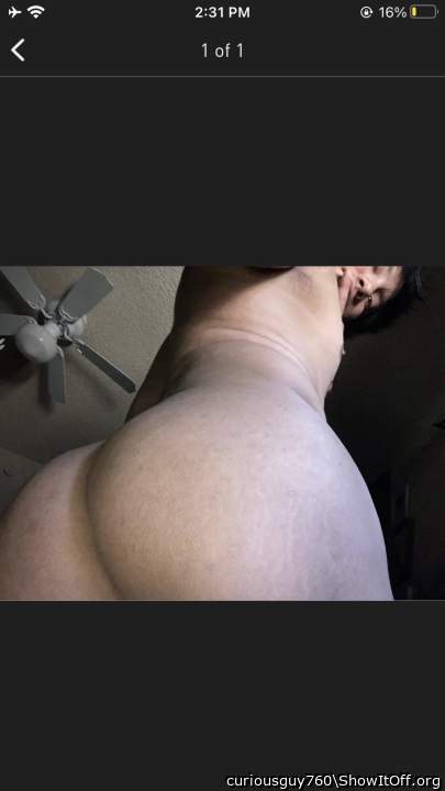 The view