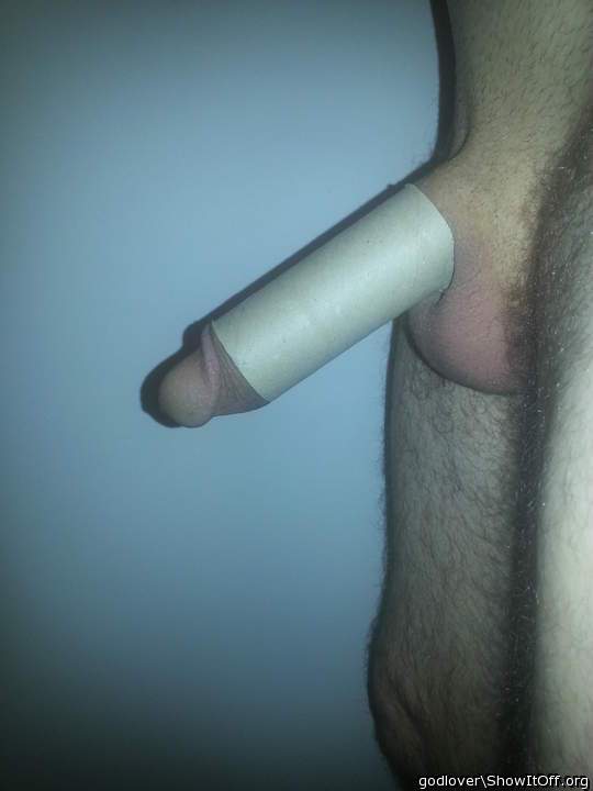 Toilet Roll Paper 1