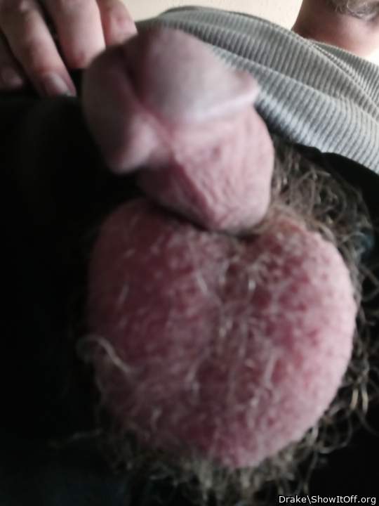 Photo of a short leg from Drake