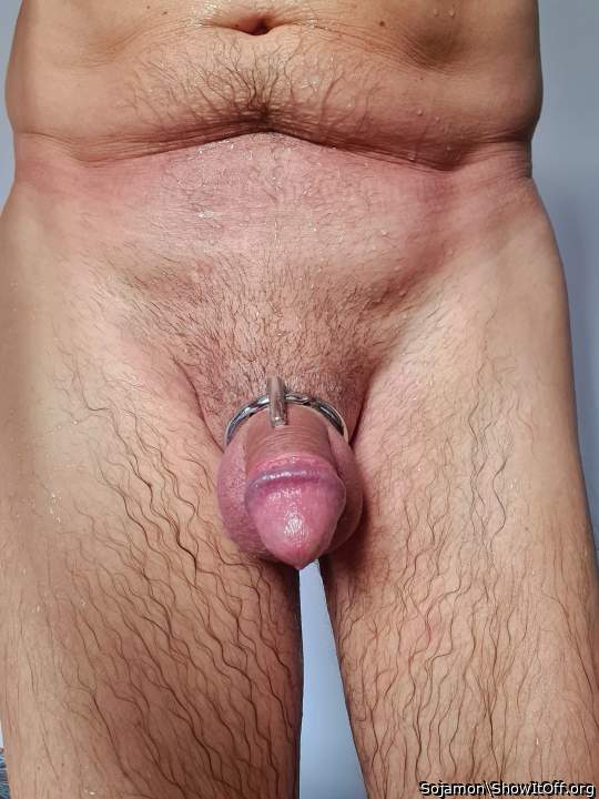 Photo of a cock from Sojamon