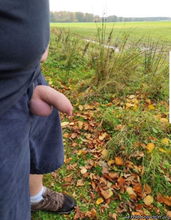 Out walking in the countryside
