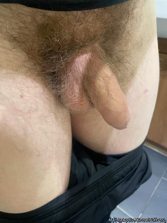Hairy flaccid peen